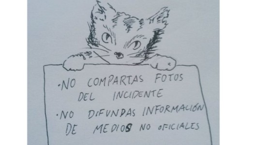 Atentado en Barcelona: los gatitos, el emblema contra la violencia