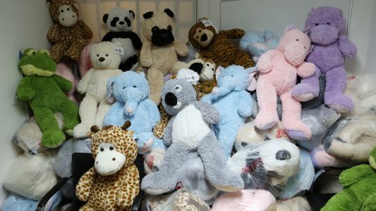 Abrazos de oso para los chicos del Hospital Gutiérrez