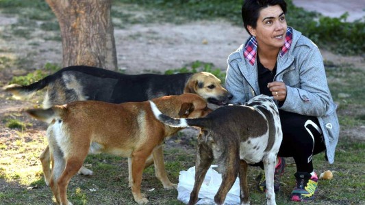 Mendoza: Denuncian tortura y matanza de perros que viven en el Parque Metropolitano