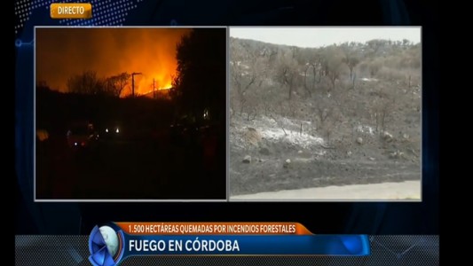 Córdoba: 1500 hectáreas quemadas por incendios forestales
