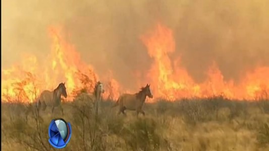 Incendios en San Luis