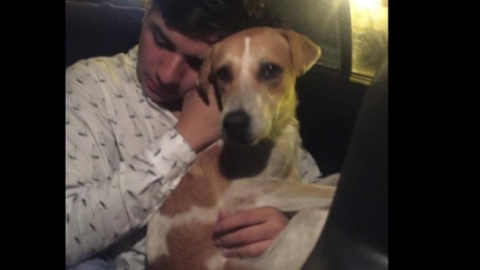 Salía borracho de un boliche, adoptó un perrito callejero y se volvió viral