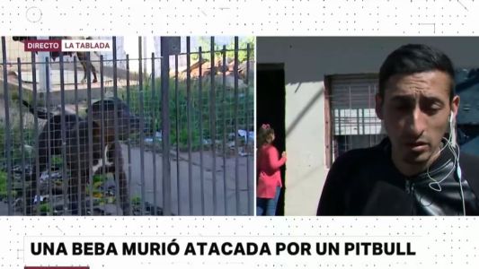 Un pitbull mató a una nena de un año e hirió a su madre