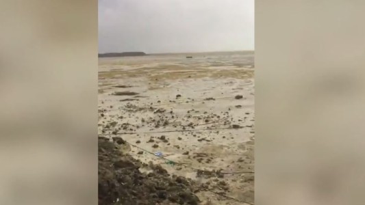 Un video muestra cómo el huracán Irma dejó una playa de las Bahamas sin mar