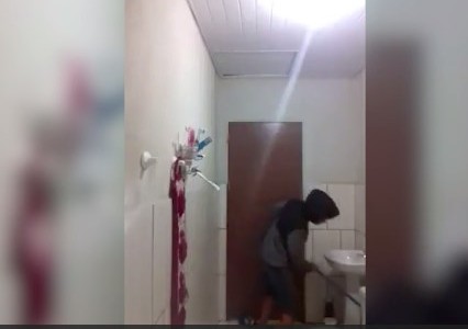 Intentó atrapar una rata junto a su gato: el resultado fue una catástrofe