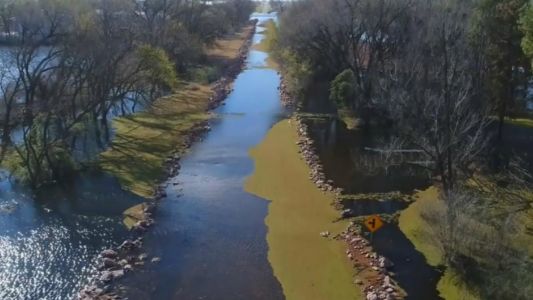La Pampa: Por inundaciones los productores se enfrentan a mortandad de terneros y vacas