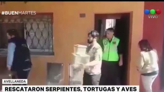 Rescataron animales de distintas especies que estaban a la venta en Avellaneda