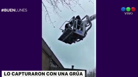 Capturan a un delincuente con una grúa