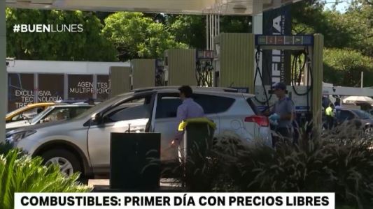 Rige la libertad de precios de la nafta