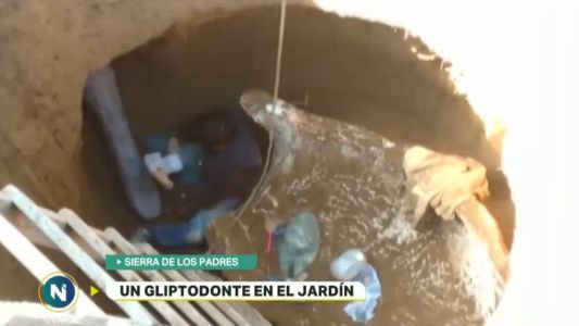 Cavaban un pozo en su casa y encontraron un gliptodonte