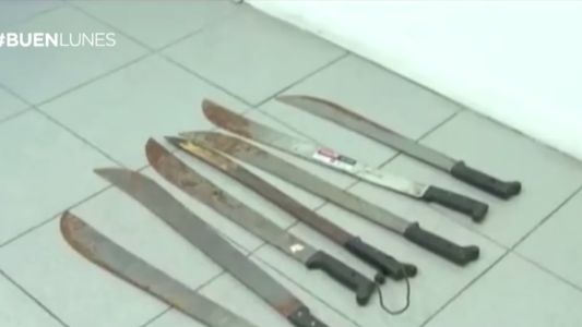 Allanaron una quinta del "Pata" Medina