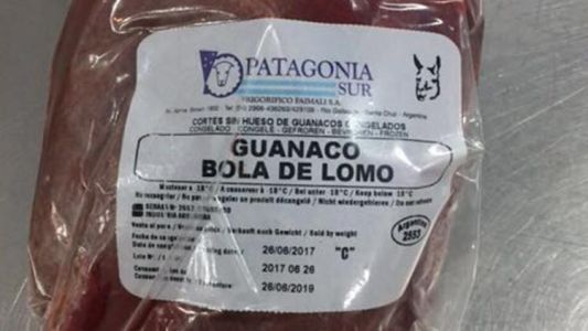 Prueba piloto: autorizan la venta de carne de guanaco