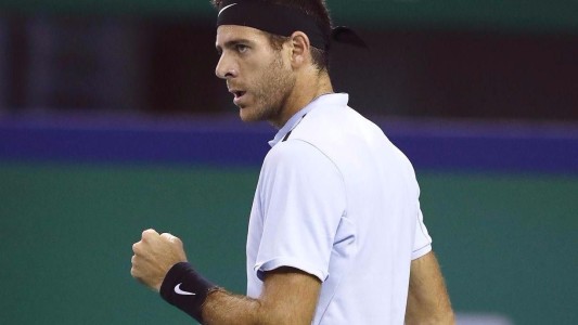 Del Potro pasó a semifinal del  Masters de Shangai