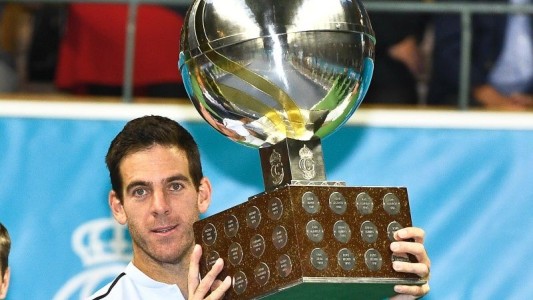 Juan Martín del Potro se consagró campeón del ATP 250 de Estocolmo