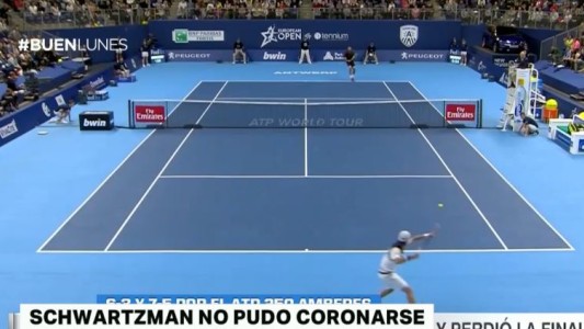 Schwartzman no pudo con el francés Tsonga y perdió la final de Amberes