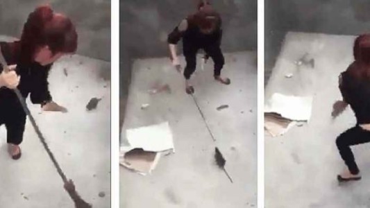 La "pelea" de una mujer con una rata gigante que se viralizó en las redes