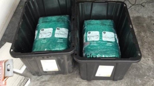 Una pareja hizo una compra por Amazon y recibió por error 29 kilos de marihuana