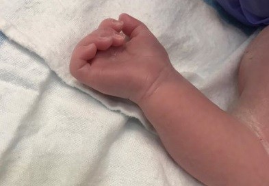 Nació Mirko el hijo de Marley