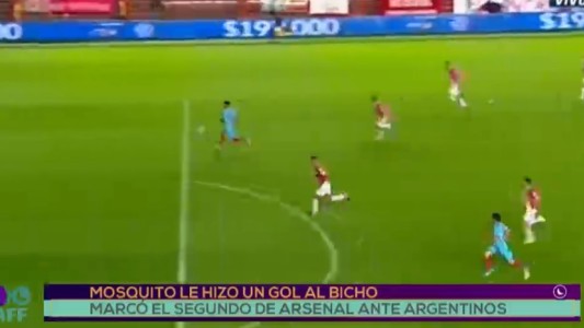 Gol de mosquito al Bicho