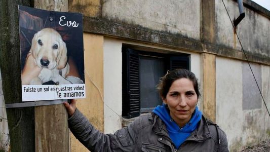 Más de 300 animales aparecieron envenenados en un pueblo rural cercano a La Plata