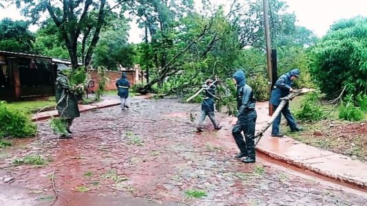 Caminaba por la calle, le cayó un cable de alta tensión y murió electrocutada