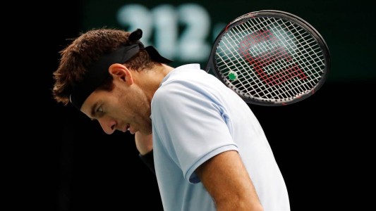 Del Potro se quedó en la puerta de Masters de Londres