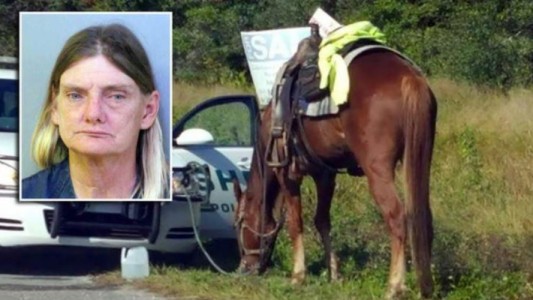 Detienen a una mujer que conducía borracha... ¡un caballo!