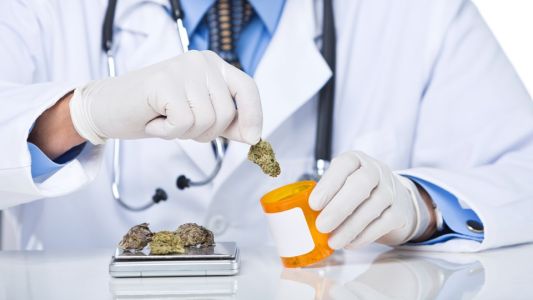 Proyecto para que El Bolsón se convierta en "capital del cannabis medicinal"