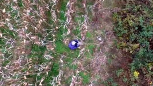 Así encontraron a una mujer que estaba perdida gracias a un drone