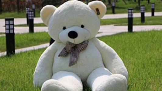 El oso de peluche gigante que se volvió viral por una extraña razón
