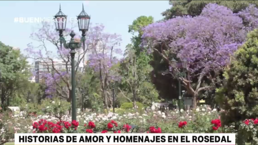 Historias de amor y homenajes en los bancos del Rosedal