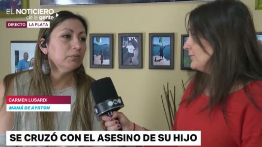 Tomó un colectivo y se encontró con el chofer que atropelló y mató a su hijo
