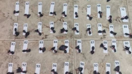 Santa Fe: cayó una banda narco dirigida desde la cárcel de Coronda