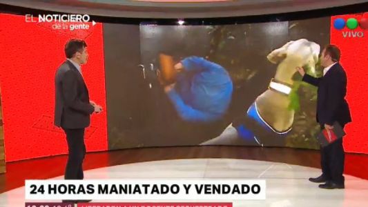Lo secuestraron, pasó un día atado en un descampado y lo halló un perro