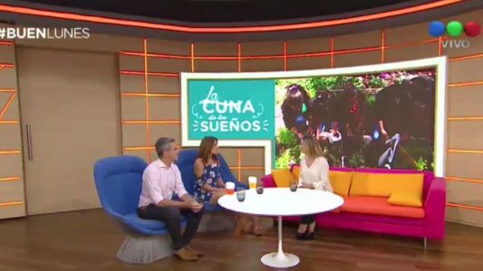 Buen Lunes / Bloque 3 / 20/11/2017