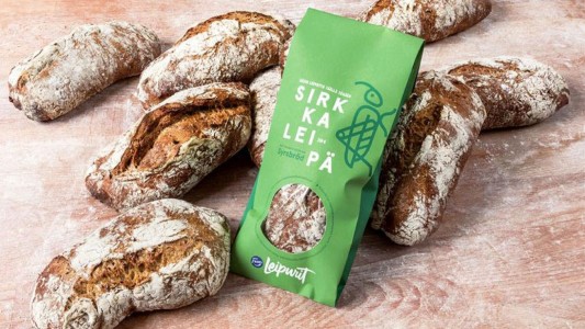 Lanzaron al mercado el primer pan con insectos