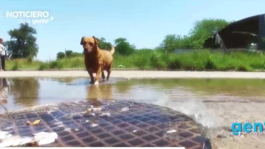 Gente que nos necesita: el barrio de los mil reclamos