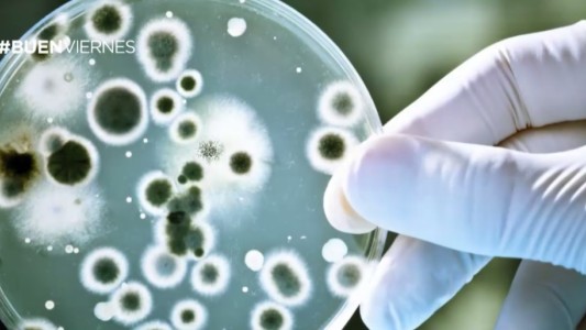 ¿Una bacteria extraterrestre?