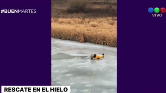 Video: un bombero arriesgó su vida para rescatar a un perro atrapado en un lago congelado