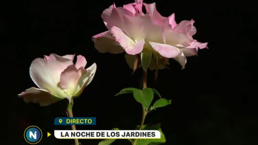 La Noche de los Jardines