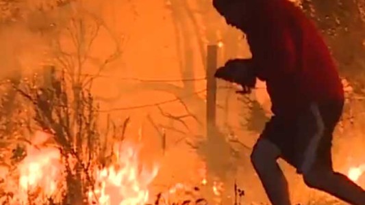 Incendio en California: un hombre desafía las llamas para salvarle la vida a un conejo