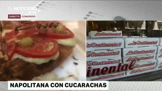 Cucarachas entre las pizzas