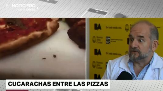 "Las cucarachas transmiten unas 40 enfermedades"