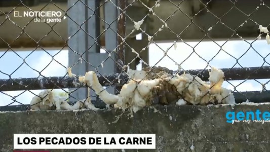 Algo huele mal en Alejandro Korn