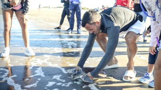 Carlitos Tevez, de vacaciones: ayudó a una tortuga marina a volver al mar