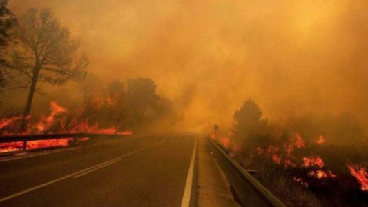 Incendios en Mendoza: se quemaron más de 120 mil hectáreas y declararon el estado de emergencia