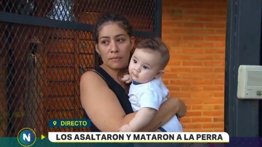 Sarandí: los asaltaron y mataron a la perra