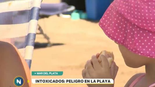 Intoxicados: peligro en la playa