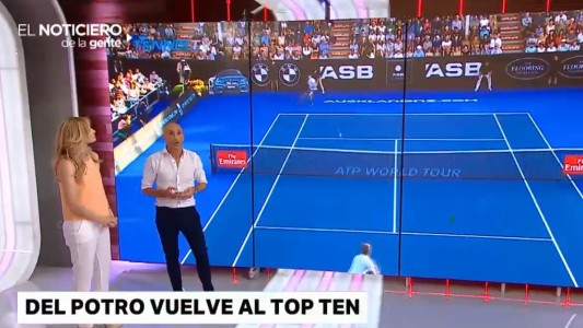 Del Potro pasó a cuartos en Auckland y vuelve a ser "top ten"