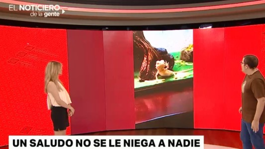 El saludo del dragón, un encantador de lémures y la gaviota que se convirtión en dron